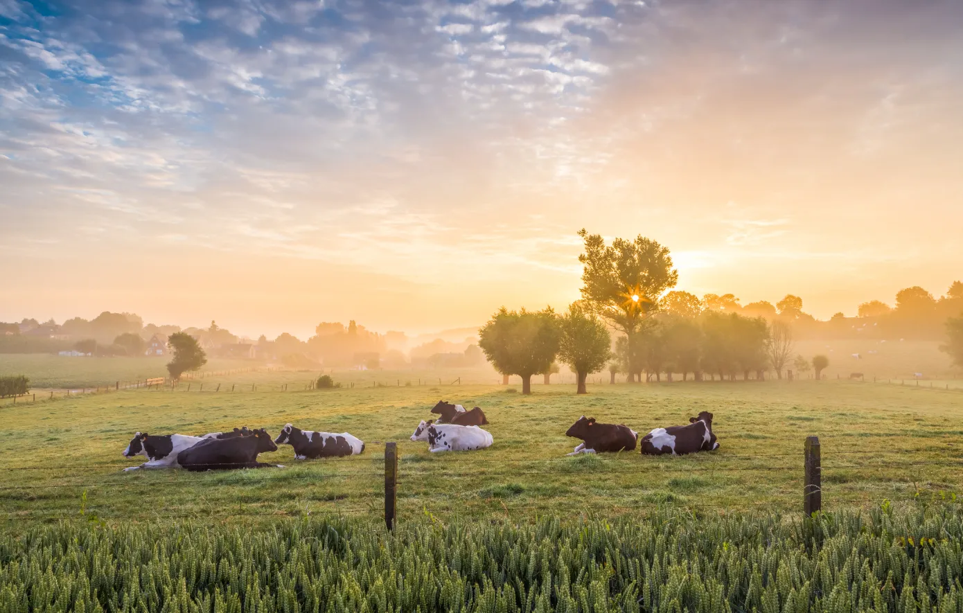 Geschillen in de agrarische sector